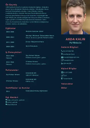 örnek cv indir